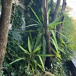 Vakantiehuis La Sanson *